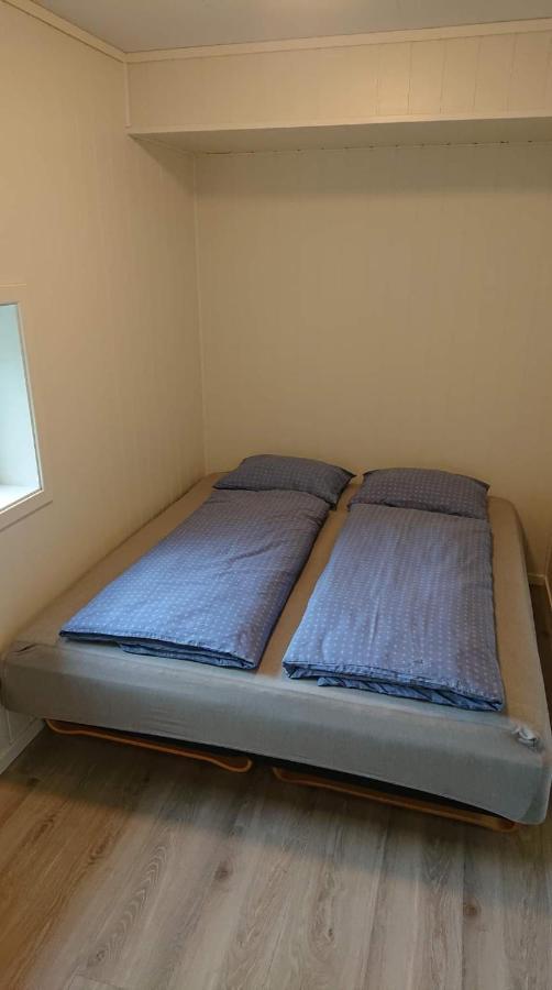 Hillegard Apartment Laerdalsoyri Ngoại thất bức ảnh